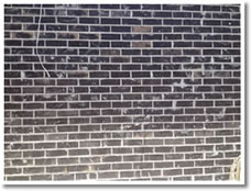 Brick Wall Before